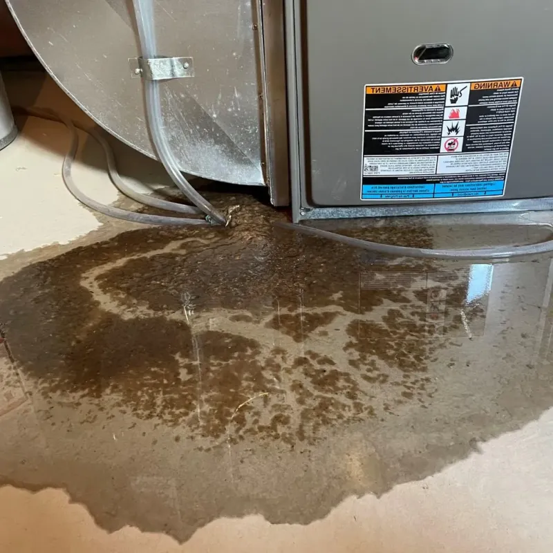 Pipe Burst and Leak Restoration in Questa, NM
