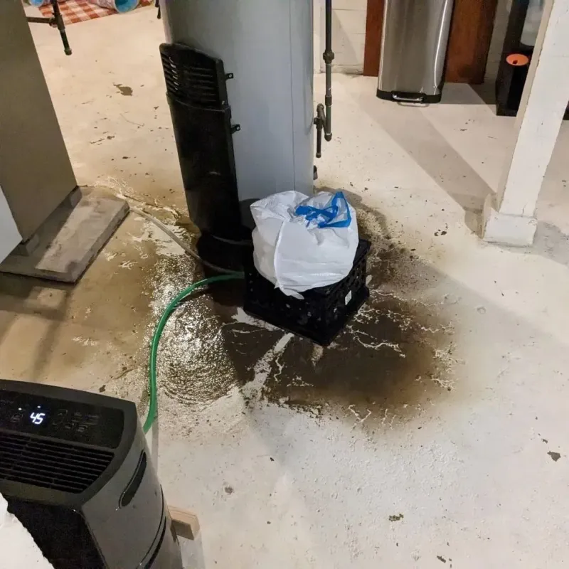Sewage Backup Cleanup Service in Questa, NM